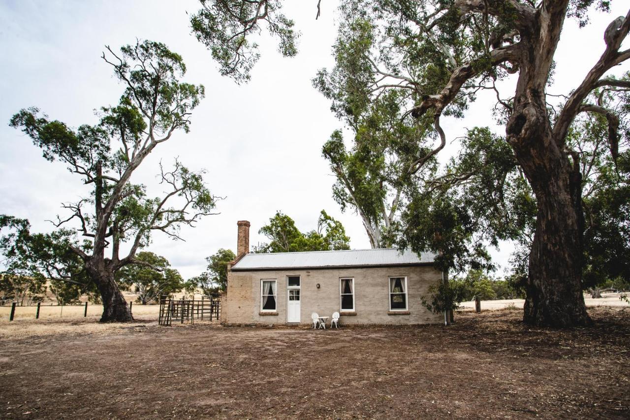 Ravenswood Homestead Exterior foto